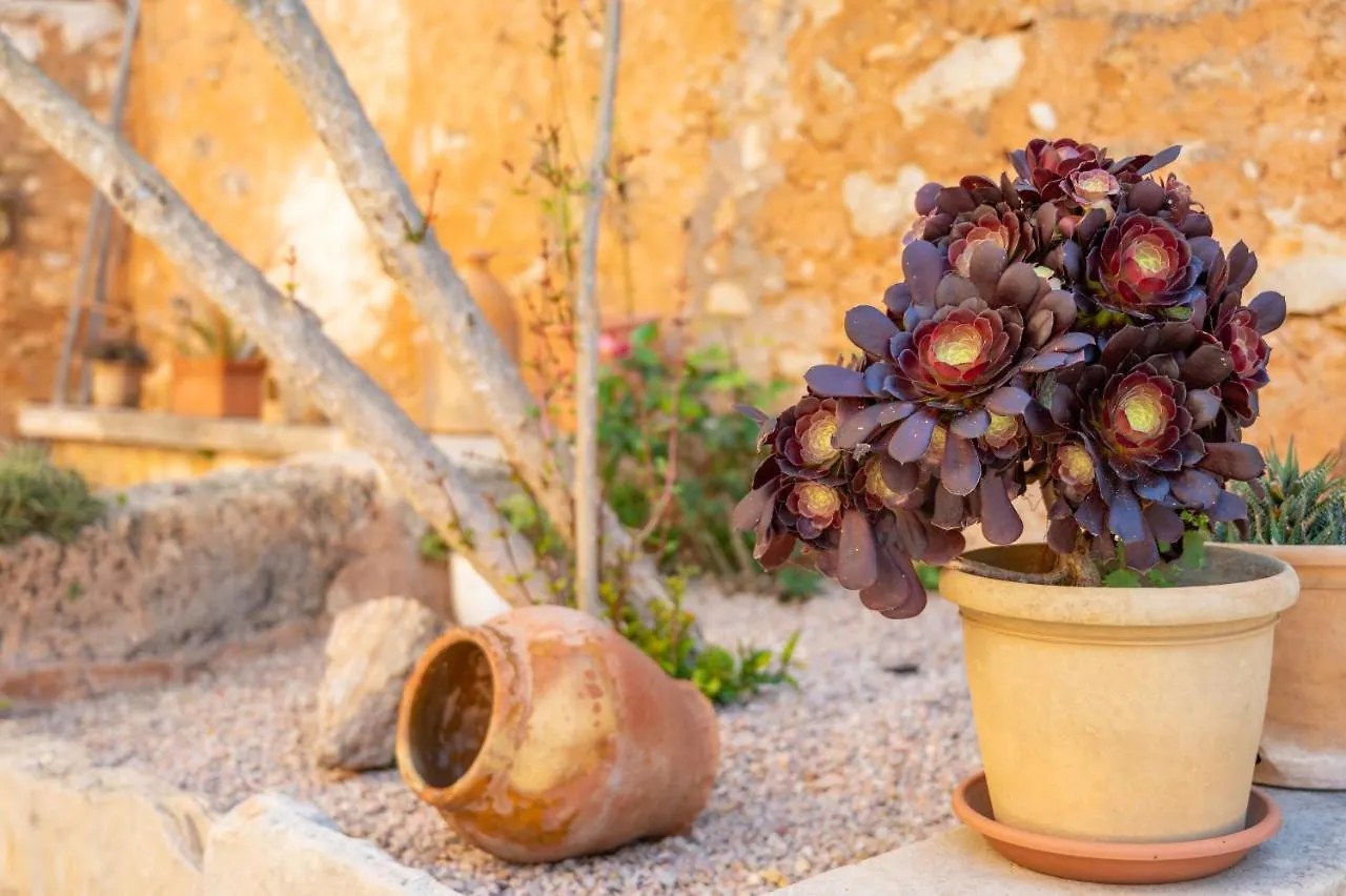 בית נופש סנטני Finca Can Muvi ספרד